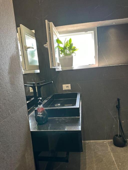 Green Apartment Тирана Экстерьер фото